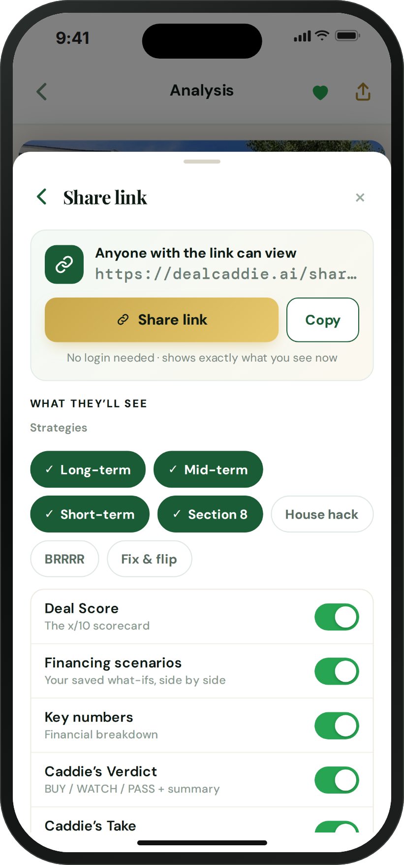 The share panel: copy or send the link, then choose which strategies and sections the reader sees